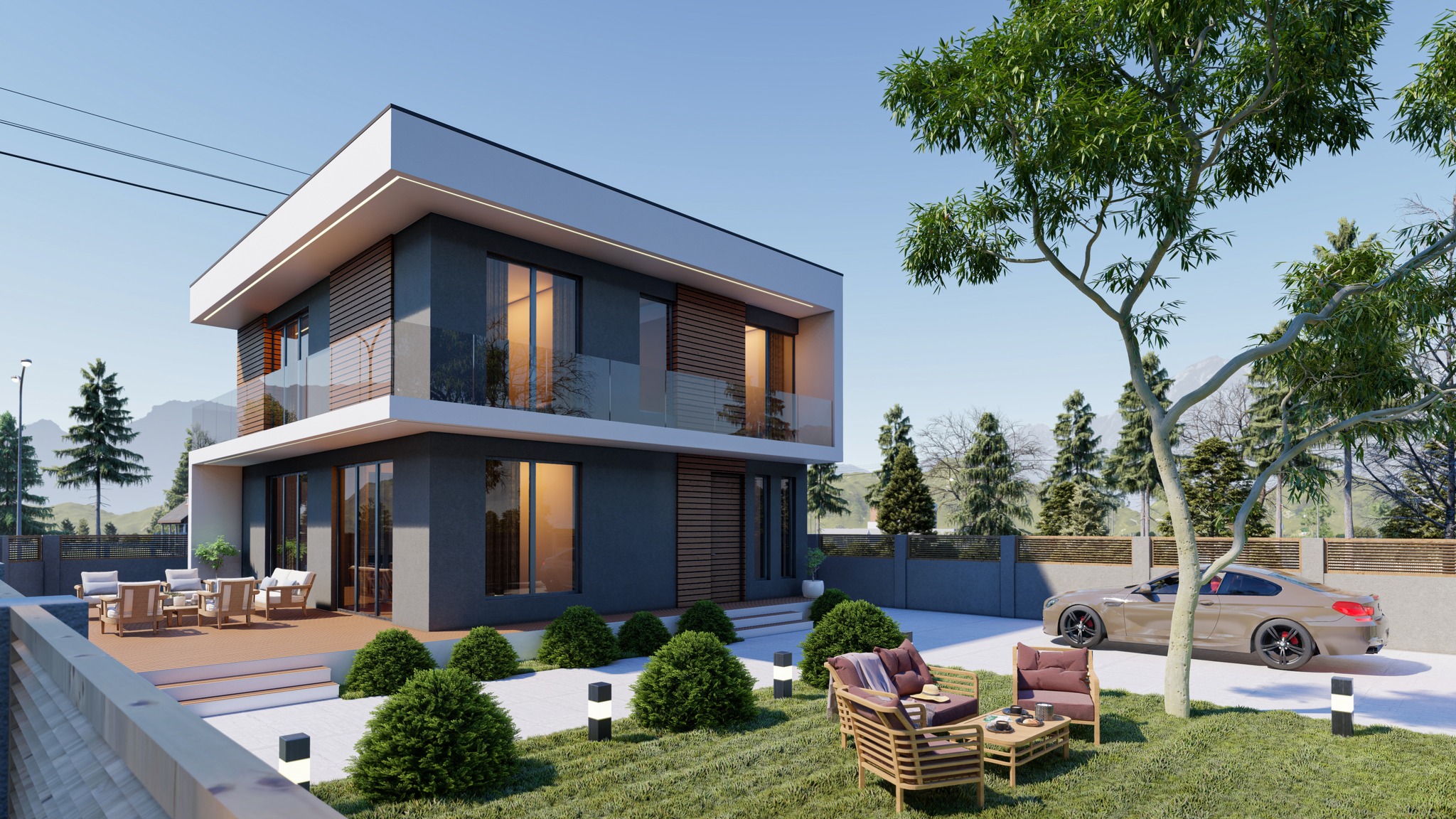 პროფესიონალური